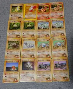 ポケモンカード　旧裏あり　タケシのポケモン　タケシの育て方　ニビシティジム