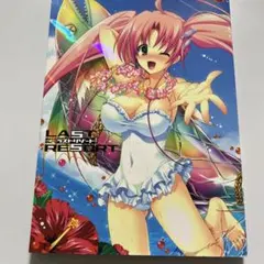 Last resort :Misakura Nankotsu art works