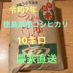コシヒカリ 10kg 令和7年収穫 茨城 - メルカリ