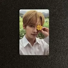 Item thumbnail for item 15f644d0-9722-4c53-90aa-08c4867fc1a5