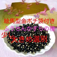 新2025年 ❤️少し大きめで綺麗め❤️ 約800個 風船葛の種のサムネイル