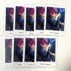 2025年最新】ぱしゃっつ 茨の人気アイテム - メルカリ