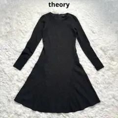 セオリーワンピース
