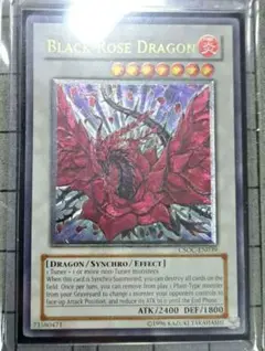 遊戯王　ブラックローズドラゴン￼ レリーフ　ホロ　外国表記￼￼ 遊戯王 ブラックローズドラゴン レリーフ 北米版 1stの通販 ニシ