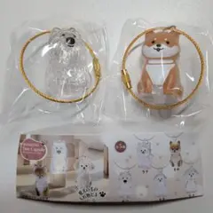 わんこのタイムカプセル