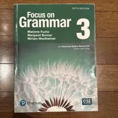 Focus on Grammar 3 5th edition