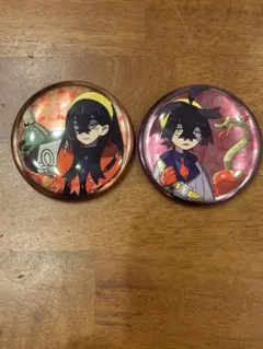 スグリ ポケモン 缶バッジ ポケモン 缶バッジコレクション ゼロの秘宝編 スグリ【匿名配送