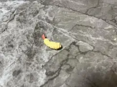 チョウピラコ様 エビ精 憑依型特級呪物