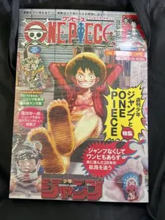 ONE PIECE magazine ワンピースマガジン 20号 プロモ付き
