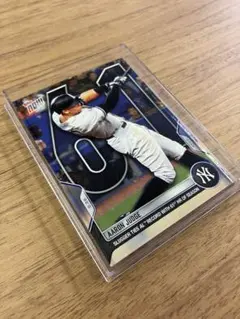 とみー様 リクエスト 2点 まとめ商品