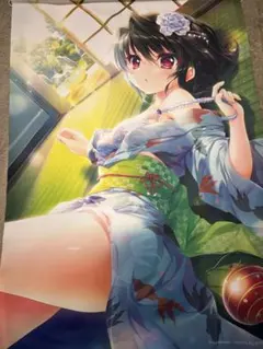 9nine タペストリー2本セット PS4／Nintendo Switch 9-nine-【オリ特】B2タペストリー - WonderGOO