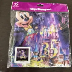 東京ディズニーランド 35周年 ミッキー