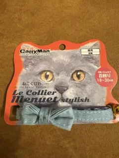 Item thumbnail for item 1cc63fe4-808a-403f-baf5-bffd31a030fa