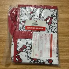サンリオ　優待　ちょっとだけBIG レジャーバック