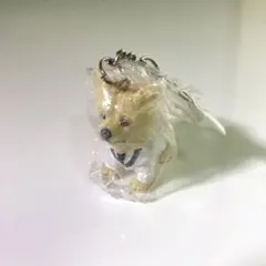 Item thumbnail for item 03a65710-b914-47db-b4b4-74f08f078e0b