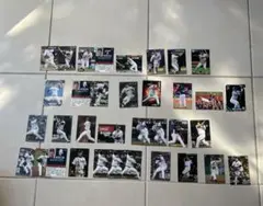 プロ野球チップス 西武ライオンズカードまとめ売り　EPOCHカード2026 2枚