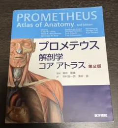 Item thumbnail for item e5bef9b4-b86e-4951-9585-b8e052991b6e