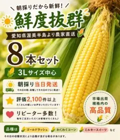 【スーパースイートコーン甘々娘】問い合わせページ 農薬化学肥料不使用 鹿児島県 2. むつ様8本【朝どれスーパースイートコーン甘々娘】農薬化学肥料不
