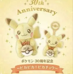 新品 ポケモン はじまりのピカチュウ ぬいぐるみ 30周年 ポケセン