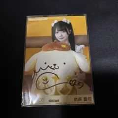 山田杏佳 生写真 直筆 ポムポムプリン ヒキ 山田杏佳 生写真 直筆 ポムポムプリン ヒキ - メルカリ