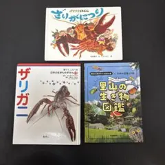 昆虫　ザリガニ　夏の虫図鑑セット　川遊び　キャンプ　自然　虫取り　夏休み
