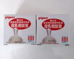 Item thumbnail for item 99e66dd5-fd98-49f2-b80c-703dc860c152