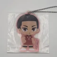 ハイキュー 一番くじ ゴミ捨て場の決戦2 H賞音駒アクリルチャーム 海信行