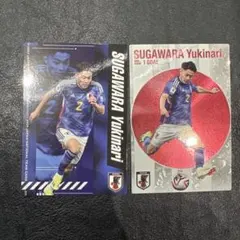 菅原由勢トレーディングカード 2024年 カルビー