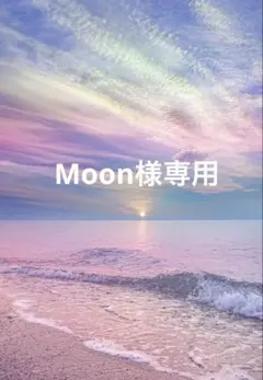 Moon様専用ご相談ページ