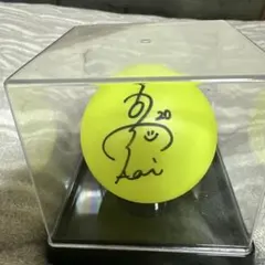 菅楓華選手サイン入り実使用グローブ - メルカリ