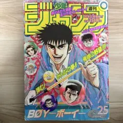 希少】週刊少年ジャンプ 1995年25号 ドラゴンボール 最終回掲載号 鳥山