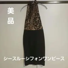 ZARAのヒョウ柄シースルー×ブラックスカートワンピース