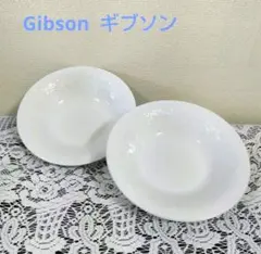 2026年最新】GIBSON 皿の人気アイテム - メルカリ