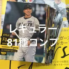 阪神タイガース BBM 2025 レギュラーコンプ81種