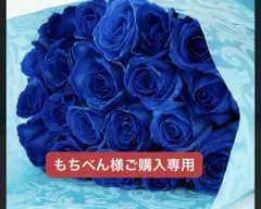 もちべん様のご購入専用