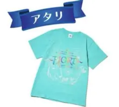 MGA ガチャ 【アタリ】FJORD Tシャツ グリーン　フィヨルド ミセス