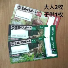 那須どうぶつ王国 下見 ご招待券 ３名まで 非売品 送料無料 2025年最新那須どうぶつ王国 ご招待券 2の人気アイテム - メルカリ