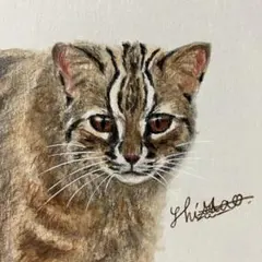 ミニ絵画 ツシマヤマネコ