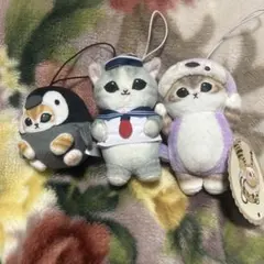 猫のぬいぐるみマスコット3体セット