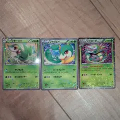 ツタージャ ポケモンカードゲーム