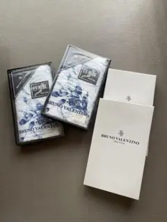 Item thumbnail for item 82b94dfa-3585-41a8-b96a-1dc9a0f7987d