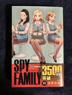 SPY×FAMILY まとめ売り　13点 2024年11月】新商品まとめ(SPY×FAMILY) - 推し活info..