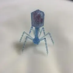 T4ファージ クリアブルー