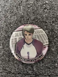 2026年最新】牛島若利 缶バッジ オールスターの人気アイテム - メルカリ