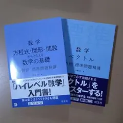 数学 基礎とベクトル 問題集 2冊セット
