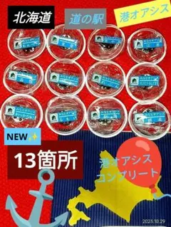北海道 道の駅みなとオアシス ピンズ 13 種コンプリート2026年6月版