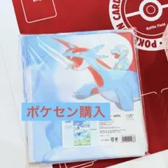 ポケモンセンター セパレートカーテン Soaring Dreams - メルカリ