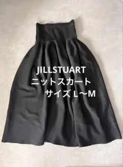 新品 JILL STUART ロング フレア スカート ジルスチュアート 人気のサムネイル