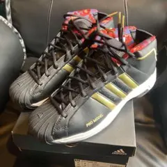 Pro Model 2G US8.5 jordan kobe kyrie