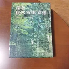 Item thumbnail for item 817eb6e1-1667-45ee-b92b-20111a7cc3bf